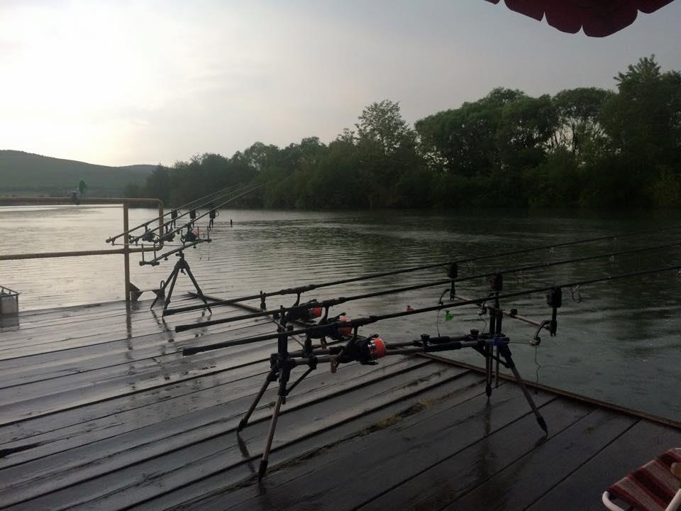 Balastiera Fughiu - Mai 2015 - 113512129892066911123605608586079111790407n.jpg